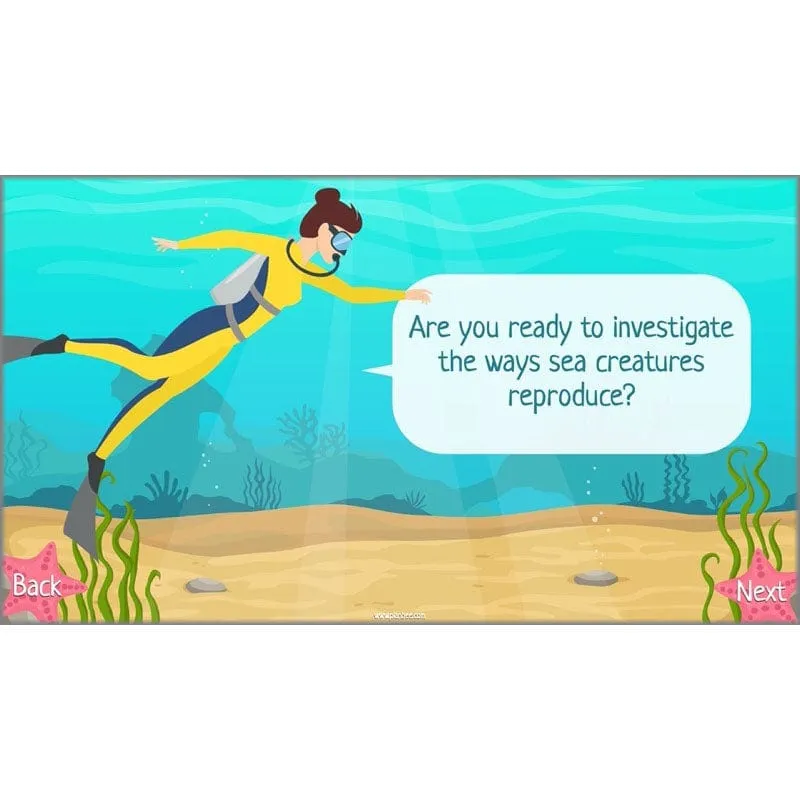Under the Sea Topic