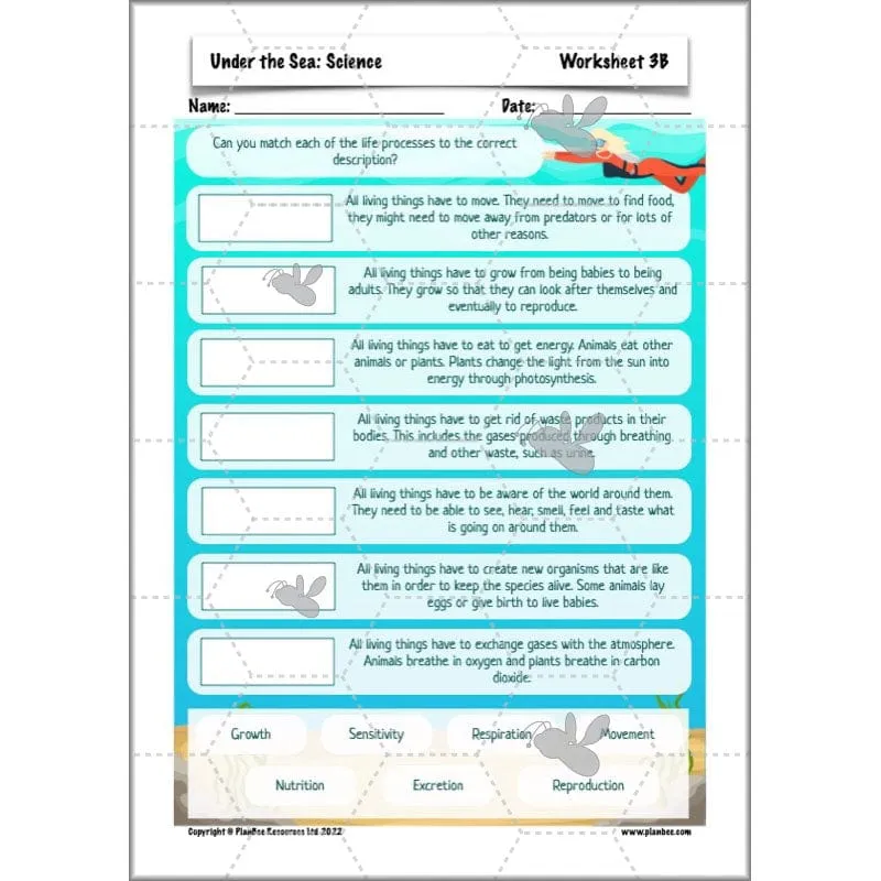 Under the Sea Topic