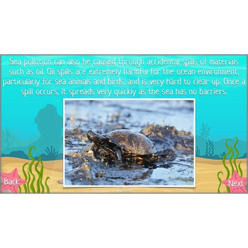 Under the Sea Topic