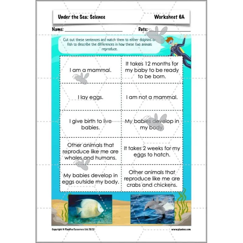 Under the Sea Topic