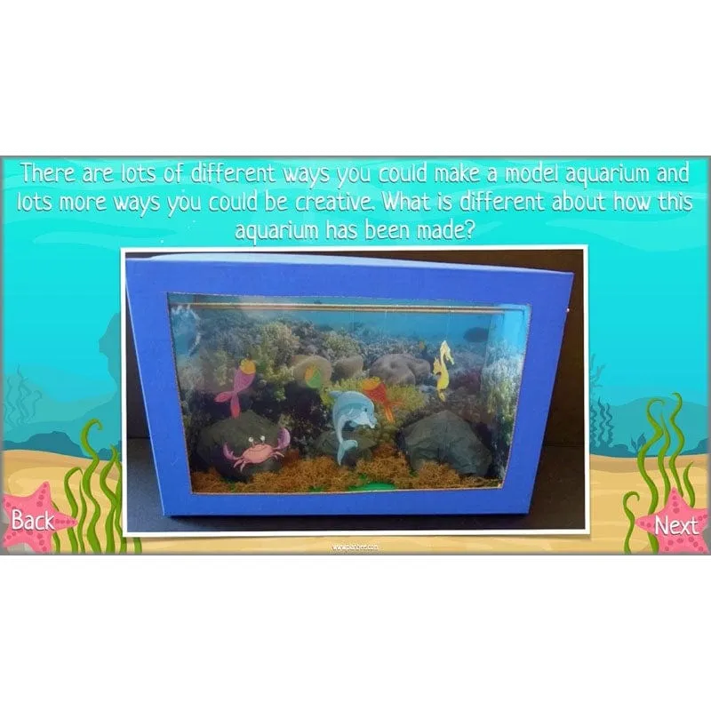 Under the Sea Topic